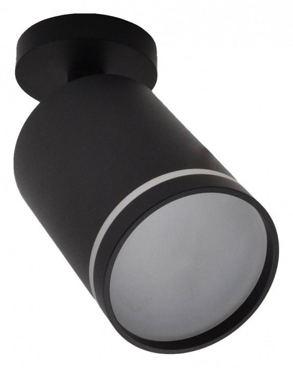 Фото Спот Escada 20009 20009SMA/02LED SBK ESC_20009SMA_02LED_SBK - интернет-магазин МегаТерем в Москве