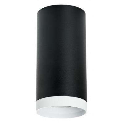 Накладной светильник Lightstar Rullo R64873486 LS_R64873486