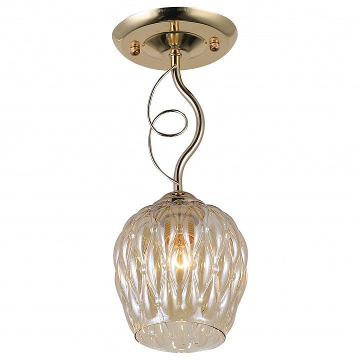 Фото Светильник на штанге Rivoli Daiane Б0054740 RVL_B0054740 - интернет-магазин МегаТерем в Москве