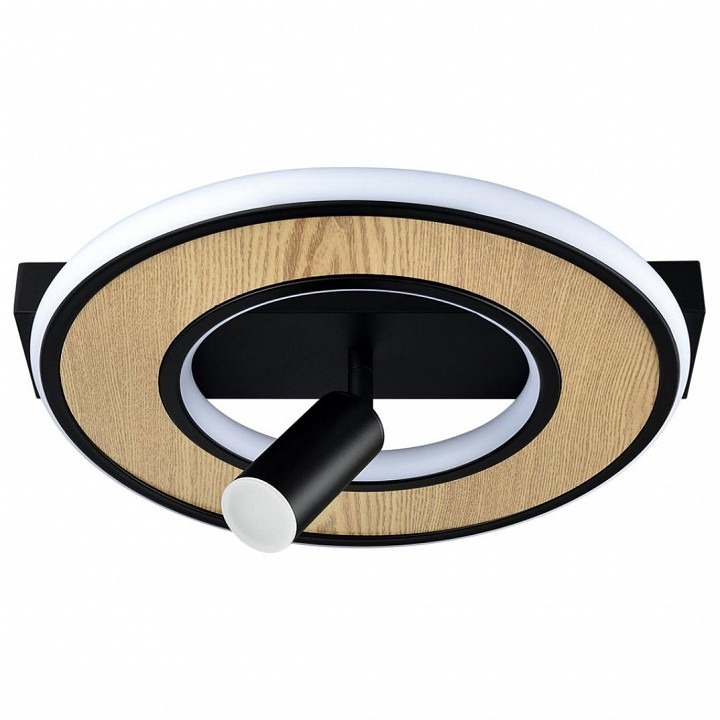 Фото Накладной светильник Lumion PINE 6572/24CL LMN_6572_24CL - интернет-магазин МегаТерем в Москве