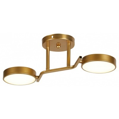 Светильник на штанге Escada Starlight 10273/2LED ESC_10273_2LED