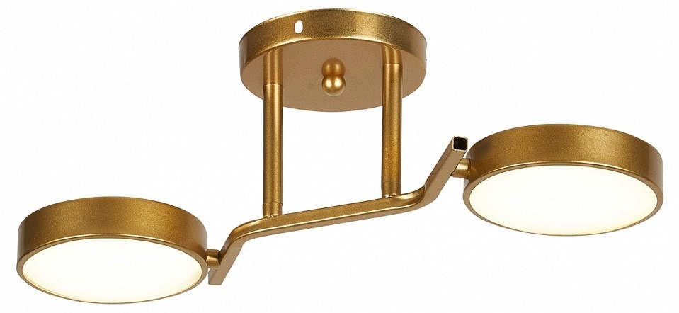 Фото Светильник на штанге Escada Starlight 10273/2LED ESC_10273_2LED - интернет-магазин МегаТерем в Москве