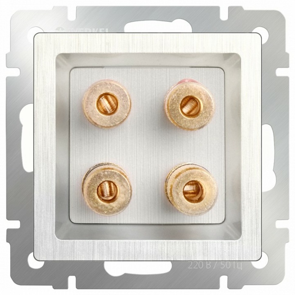 Фото Розетка акустическая без рамки Werkel перламутровый рифленый WL13-AUDIOx4 WRK_a040902 - интернет-магазин МегаТерем в Москве