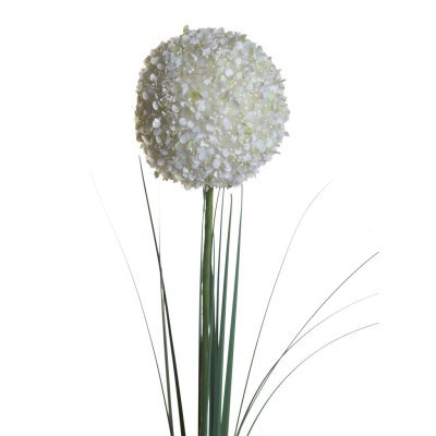 Алиум кремовый 80 см (24) (...