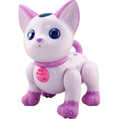 Радиоуправляемый робот Инте...