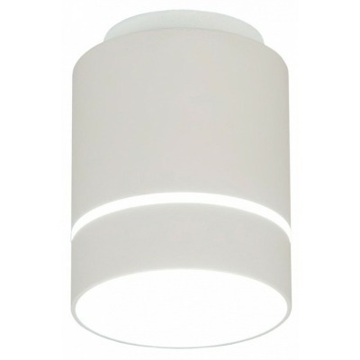 Накладной светильник Citilux Борн CL745010N