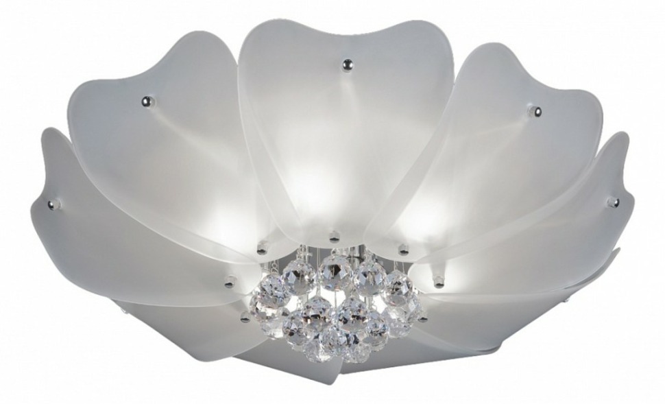 Фото Накладной светильник Lightstar Lobo 804020 LS_804020 - интернет-магазин МегаТерем в Москве