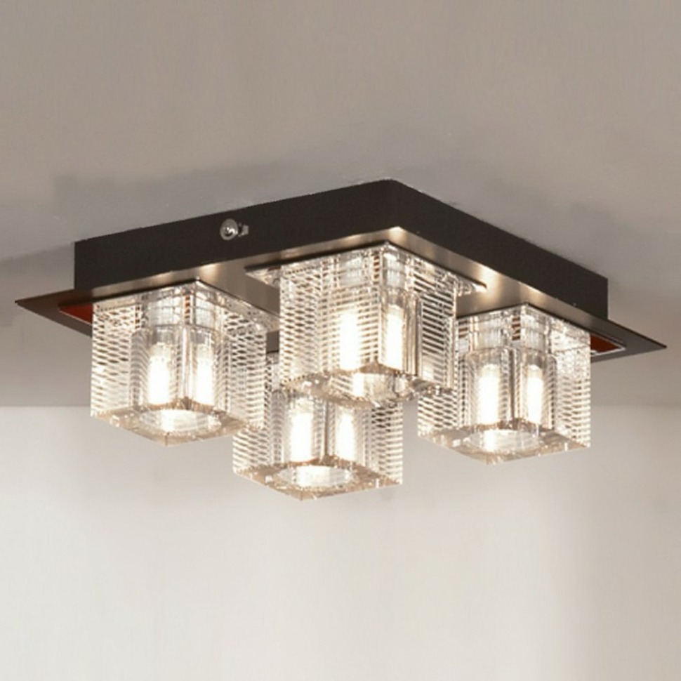 Фото Накладной светильник Lussole Notte Di Luna LSF-1307-04 - интернет-магазин МегаТерем в Москве