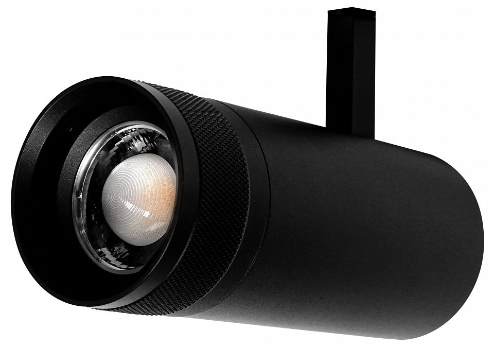 Фото Светильник на штанге Lightstar Canno Pro 304207 LS_304207 - интернет-магазин МегаТерем в Москве