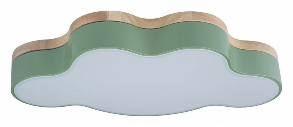 Фото Накладной светильник Loft it Axel 4 10005/30 Green LF_10005_30_Green - интернет-магазин МегаТерем в Москве