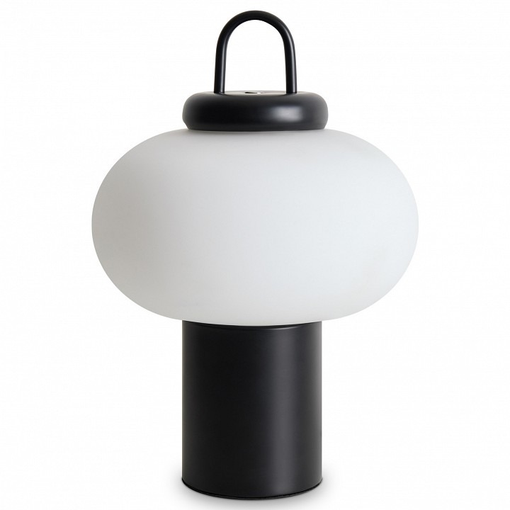 Фото Настольная лампа декоративная Freya Take FR6175TL-L10B MY_FR6175TL-L10B - интернет-магазин МегаТерем в Москве