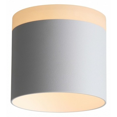 Накладной светильник ST-Luce Panaggio ST102.502.12