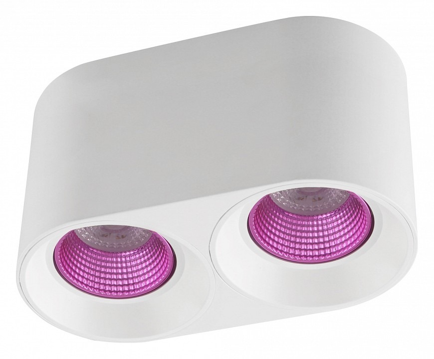 Фото Накладной светильник Denkirs DK3020WPI DK3096-WH+PI DK_DK3096-WH_PI - интернет-магазин МегаТерем в Москве