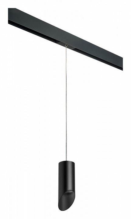 Фото Подвесной светильник Lightstar Rullo PRORP43737 LS_PRORP43737 - интернет-магазин МегаТерем в Москве