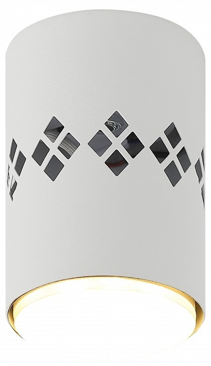 Фото Накладной светильник Эра OL10 Б0050269 ER_B0050269 - интернет-магазин МегаТерем в Москве